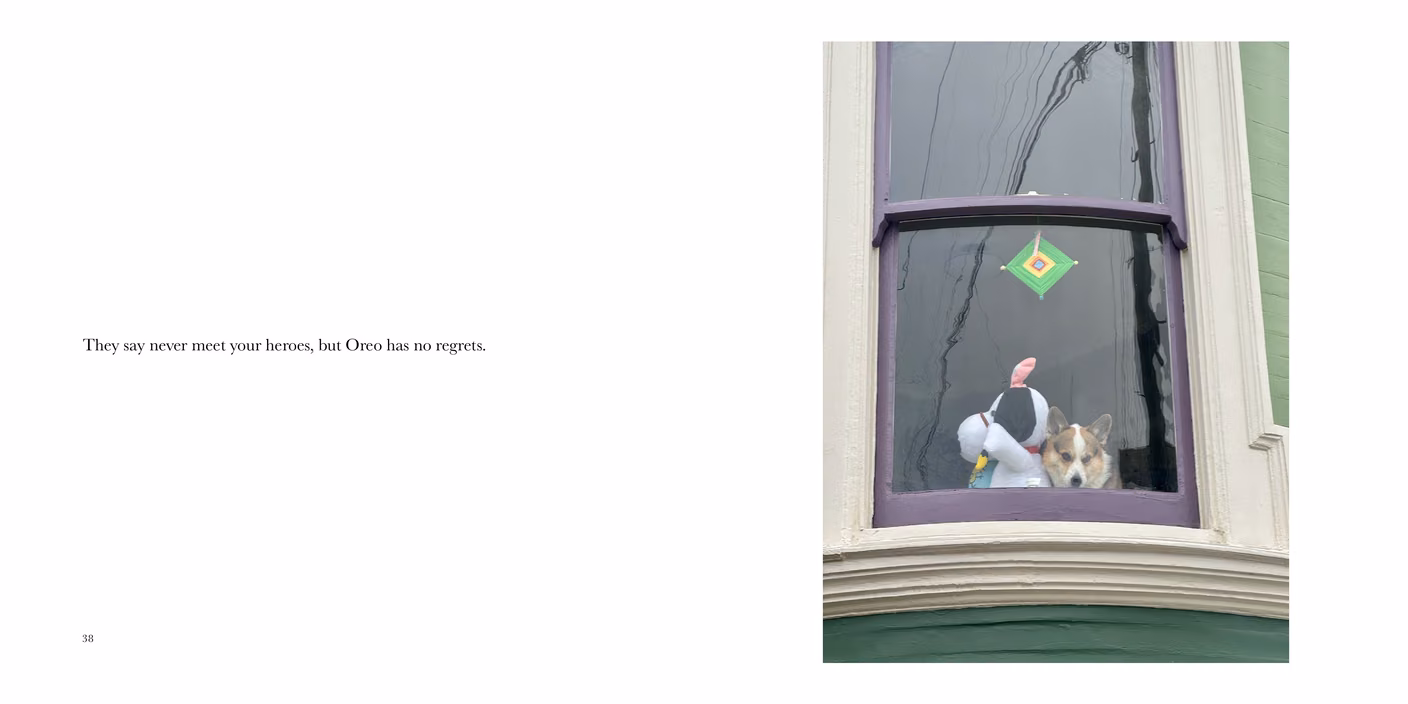 Spread from Wild Watch: a corgi watches from a bay window beside a stuffed toy dog, captioned "They say never meet your heroes, but Oreo has no regrets."
